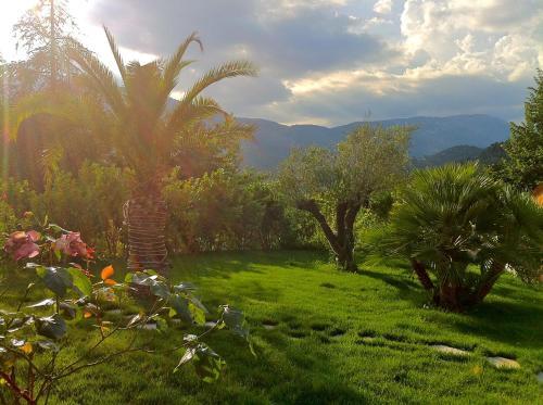 Hotel Villa Cyriel