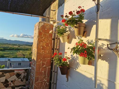 Agroturismo Casa Rural L'avia Tica