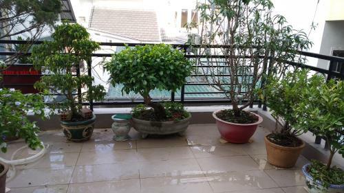 Mai Dalat Homestay