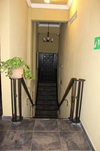 Hotel Boutique Rosa De Lima