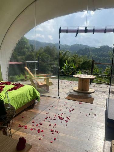 Glamping Farm