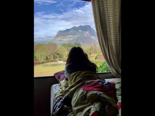 Hostal Serenity1 Homestay