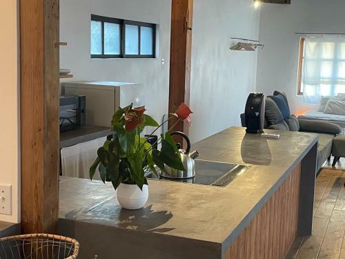 Apartamento Jasmine