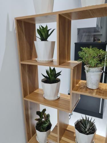 Apartamento Moc Homestay 3