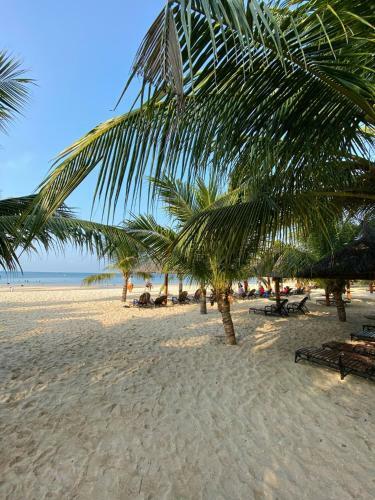Apartamento C?n H? View Bi?n 2pn - Ocean Vista M?i N�