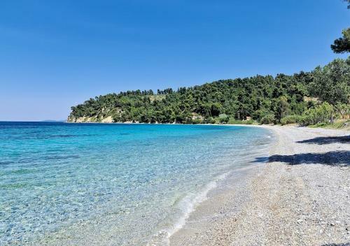 Apartamento Villa Maria Rosa - - Koutsoubri Beach Evia