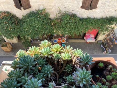 Apartamento Superbe Appartement de Caract�re Au Calme