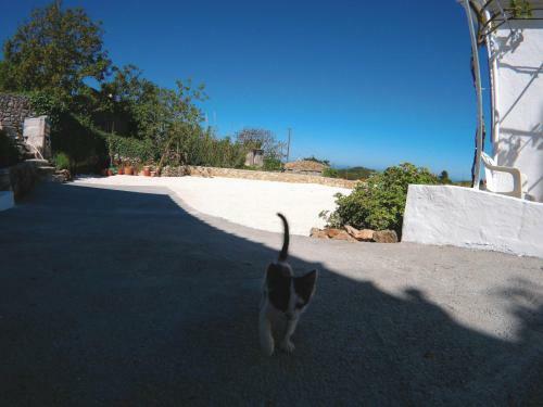 Zante Hideaway I Nearby Shipwreck