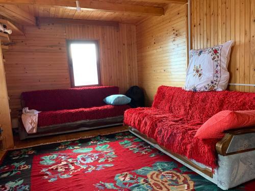 Hostal Guest House Mountainview