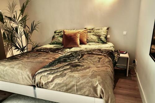 Apartamento B&B Appelscha