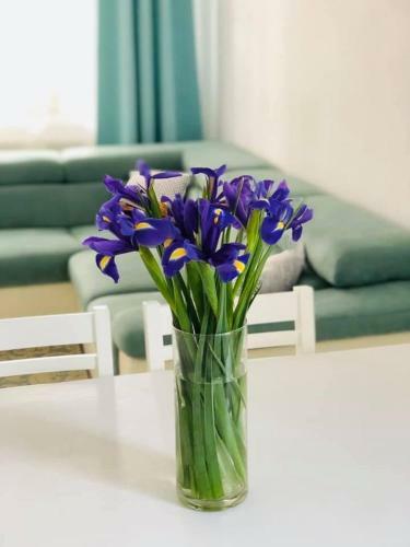 Apartament Alex
