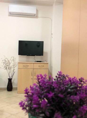 Shah Apartment