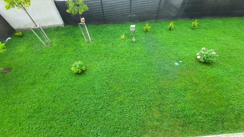 Disztingv�lt Apartman