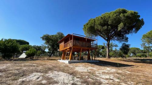 Suspended Wooden House - Monte Da Corti�a
