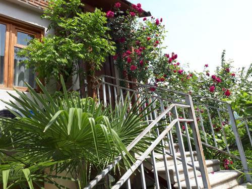 Old House Apartment With Garden Area