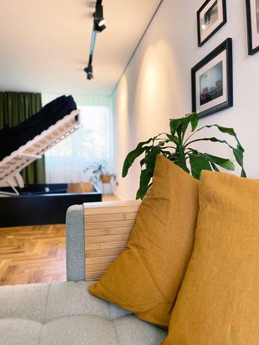 Raitas Air-conditioned Apartment