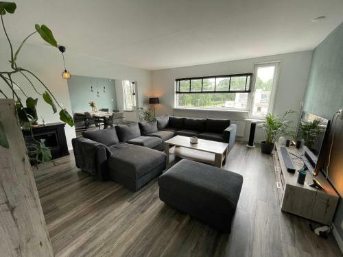 Suite Room, Wellness Experience.