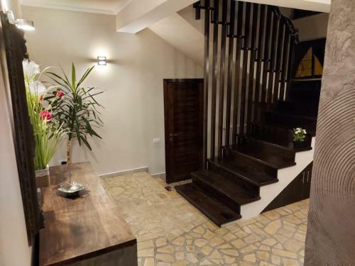 Villa Luxury Resort Brezoi