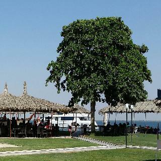 Hotel Flamingo Beach Resort