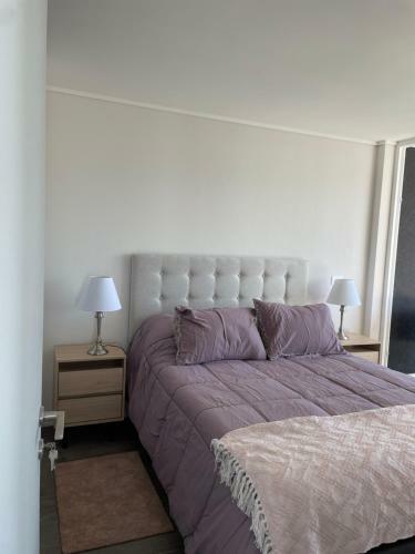 Apartamento Arriendo Hermoso Departamento En Concon