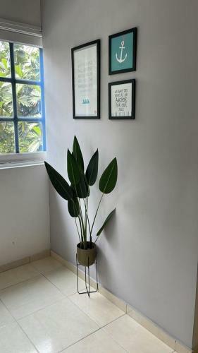 Apartamento Ld House Flora