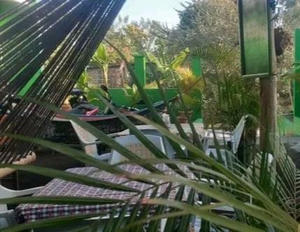 Hostel Cocos