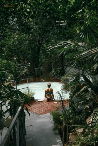 Volcano Gold Loft Rainforest House