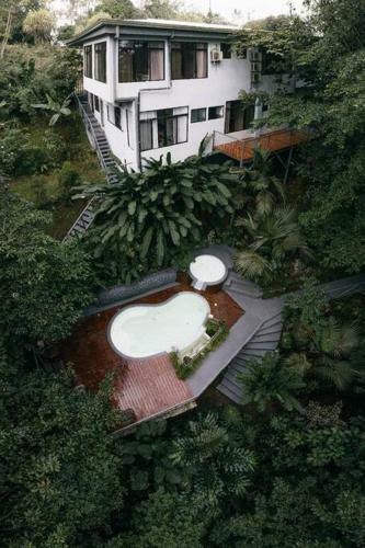 Volcano Gold Loft Rainforest House