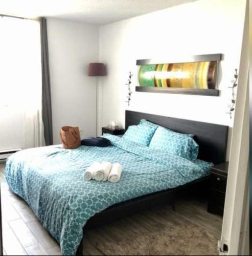 Luxury Apartments