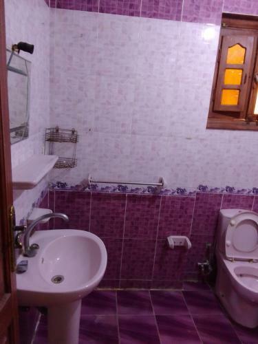 Apartamento ????????