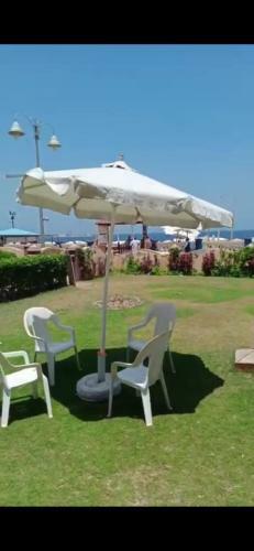 Apartamento ????? ??????? ?? ???????? ?????? ?????????? ??? ??????? 01272849001