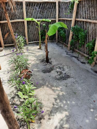 Maua Mazuri Beach House