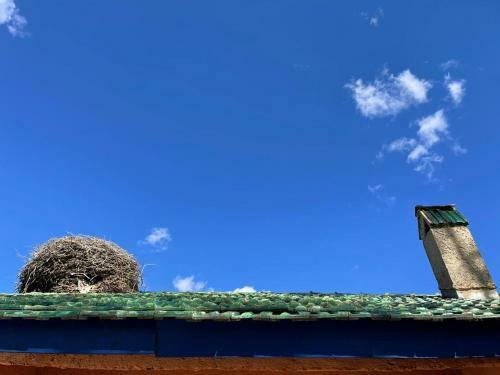Posada G�te Camping Amazigh