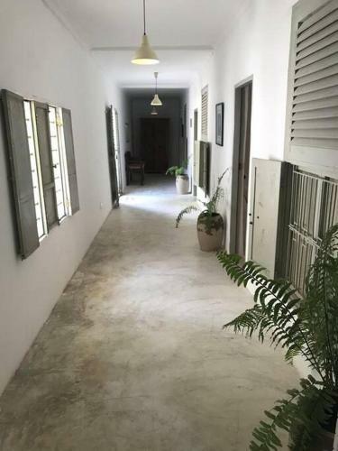 Barefoot Beachfront Villa, Chef, Pool, Sleeps 12