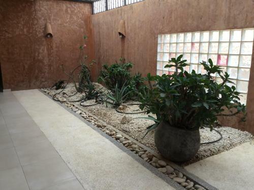 Villa Doberman Lagon