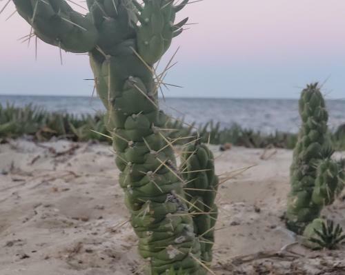 Apartamento R�sidence Amwej Sousse Les Pieds Dans L'eau