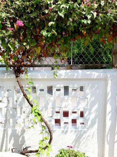 Apartamento Tigon Home