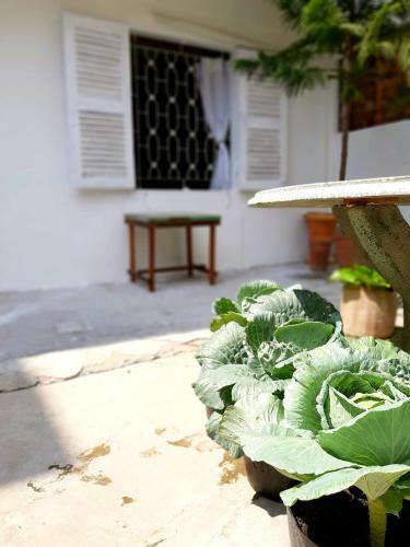 Apartamento Tigon Home