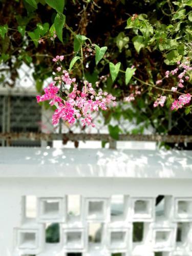 Apartamento Tigon Home