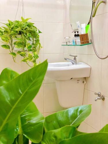 Nama Hotel Ninh Kieu Center