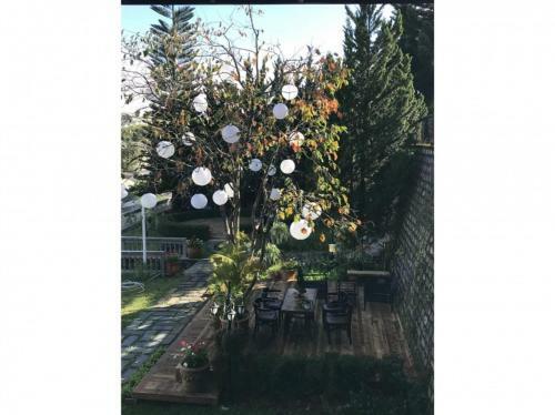 B�ch T�ng Boutique Villa