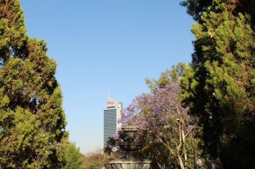 Apartamento Estudio 3 /glorieta Chapalita