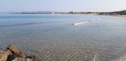 Hostal Guest House Perla