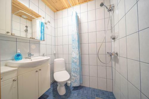 Apartamento Villa Arcticfox Levi