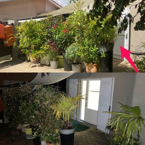 Maisonnette Studio Arcachon 300m Plage