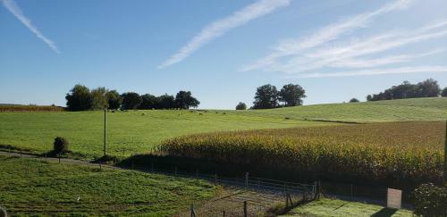 Bed & Breakfast Ferme Peyroutet