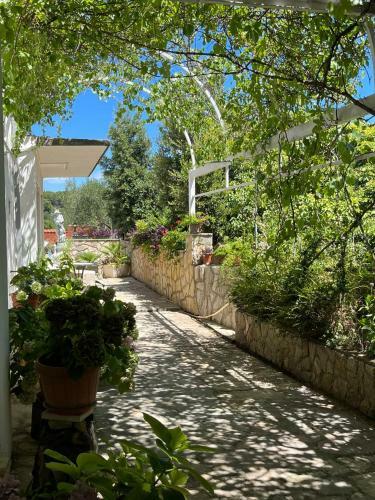 Gorana Two Bedroom Apartment