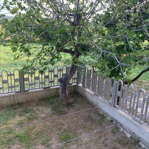 Casa Vacanze Trainiti