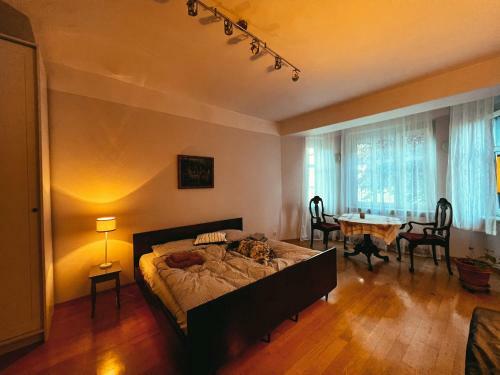 Klasyczny Apartament W Sercu Bytomia