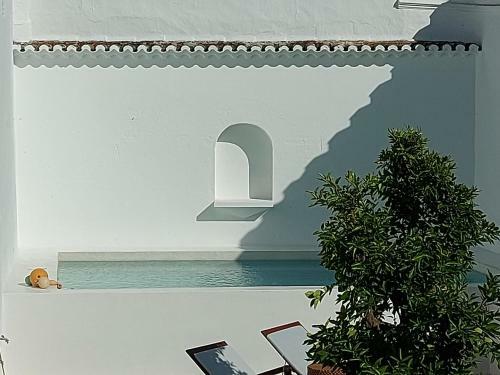 Apartamento Casa Ancha P�tio E Tanque
